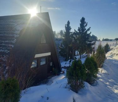 Willingen House | Haus am See Willingen