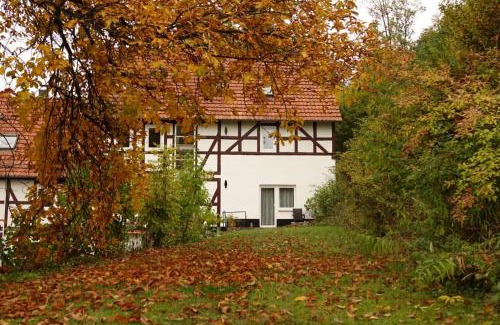 Waldeck Apartment | Haus an der Werbe Studio Kl osterblick