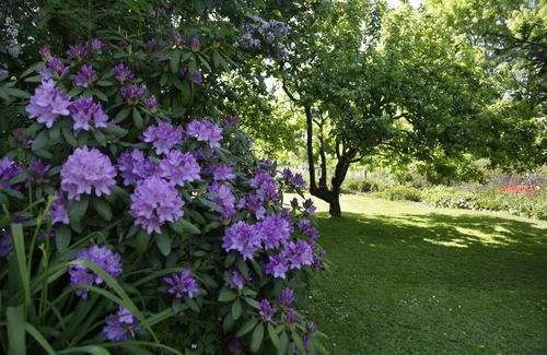 Finne House | Haus Annerose, Haus Annerose