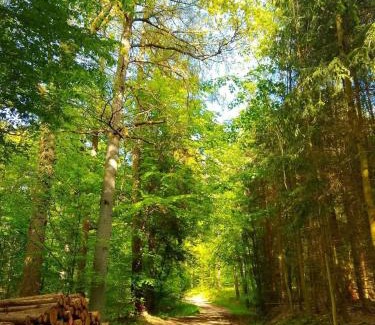 Langewiese Apartment | Haus Astenblick in Winterberg für bis zu 35 Personen für Wanderveranstaltungen und Familienfeiern