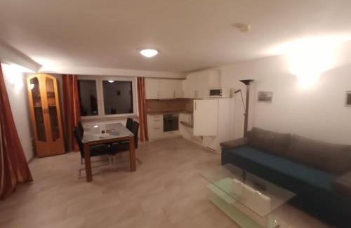 Neustadt-Gimmeldingen Apartment | Haus Biengarten