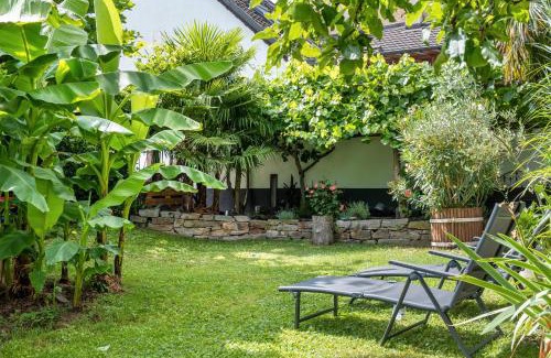 Ihringen Apartment | Haus Bienen