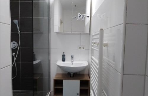 Mittelstadt Apartment | Haus Blankenagel 2