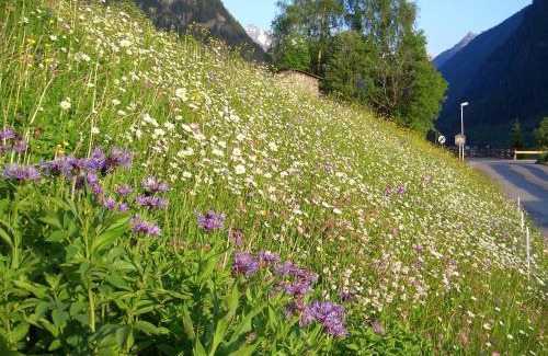 Sankt Leonhard im Pitztal Apartment | Haus Breitfuss