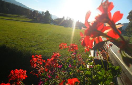 Ramsau am Dachstein Apartment | Haus Ferienglück