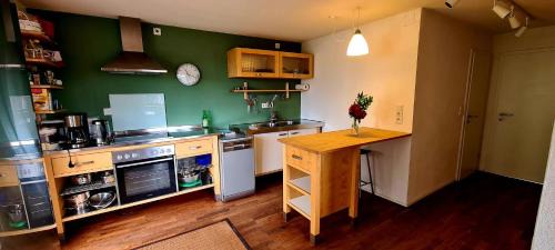 Wallenfels House | Haus Freddy