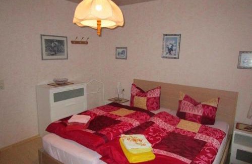Bad Lauterberg Apartment | Haus-Kummeleck-Wohnung-3
