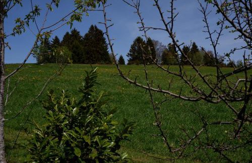 Dachsberg Apartment | Haus Lichtblick