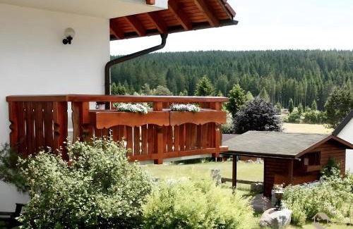 Schluchsee Apartment | Haus Marianne Dörflinger