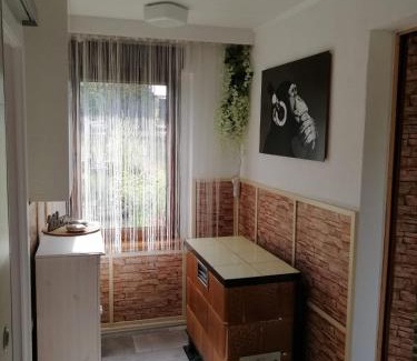 Schwenda Apartment | Haus Mona