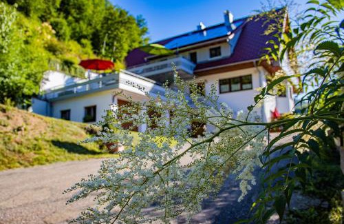 Oppenau Apartment | Haus Niedermättle