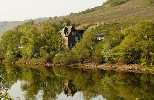 Reil Apartment | Haus Nummer 1, Moselblick