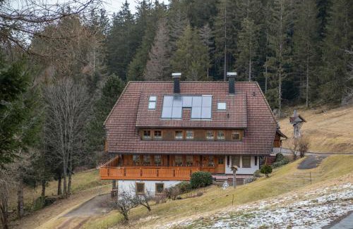 Schonach im Schwarzwald Apartment | Haus Silberberg