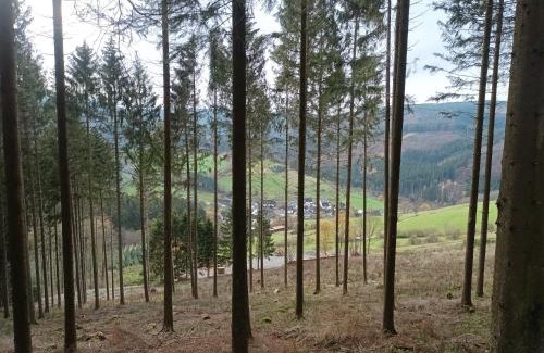 Kickenbach House | Haus Traumblick und Alpenzauber