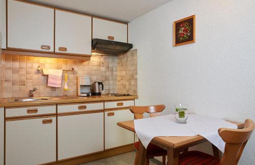 Sankt Gallenkirch Apartment | Haus Wasserfall