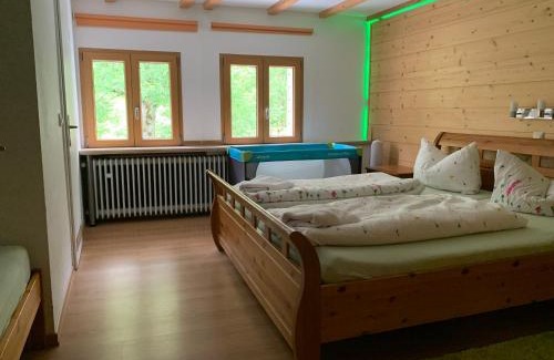 Todtnau Apartment | Haus Wiesengrund-Fahl - FeWo 4