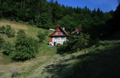Brandmatt House | Haus Wiesenruhe