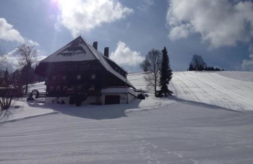 Schonach im Schwarzwald Apartment | Haus Winterberg