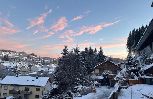 Furtwangen Apartment | Haus zum Wald