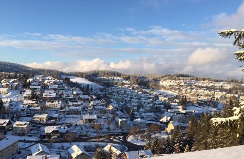 Furtwangen Apartment | Haus zum Wald