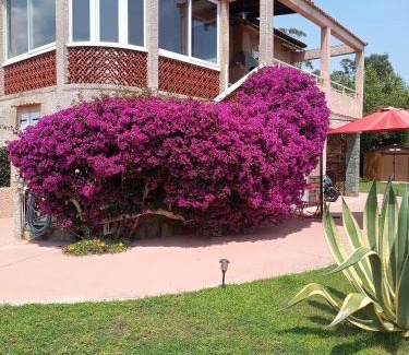 La Marana Apartment | HAUT VILLA MESANGES EN BORD DE MER !