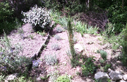 Pierrelongue House | Haven of peace in Drôme Provencal with large garden by the river