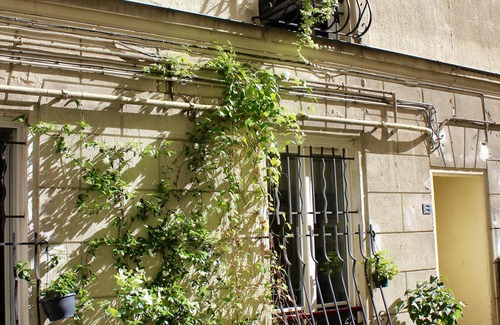 Montmartre Apartment | Haven of peace in the heart of Montmartre!