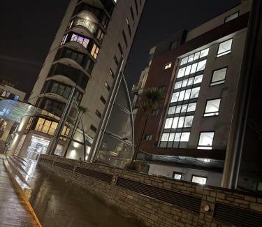 Castle Apartment | Havilah House- Stunning 2-Bed Apartment by the Beach and Swansea Marina