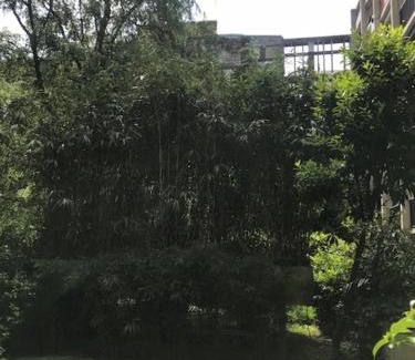Croulebarbe Apartment | Havre de paix en plein Paris
