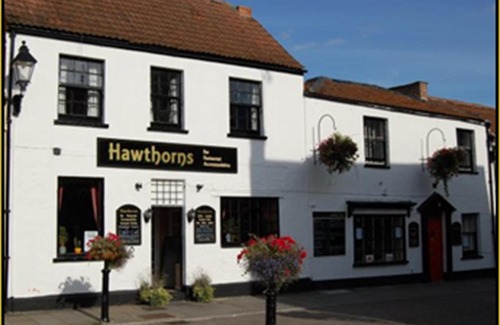 Glastonbury Hotel | Hawthorns Hotel