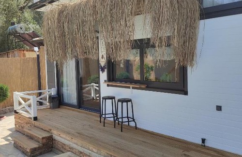 Yesiluzumlu Villa | Hayatagaci villas