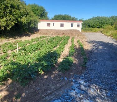 Rosslare Harbour Other | Hayesland holiday home