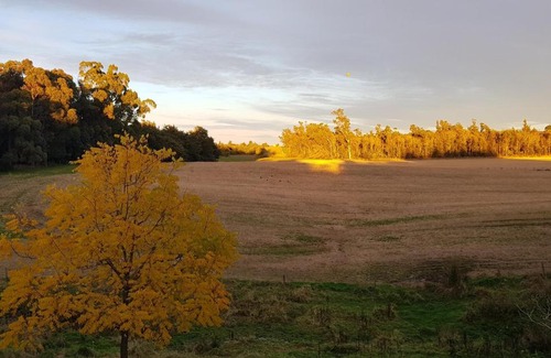 Coalgate House | Hazel Tree Homestay