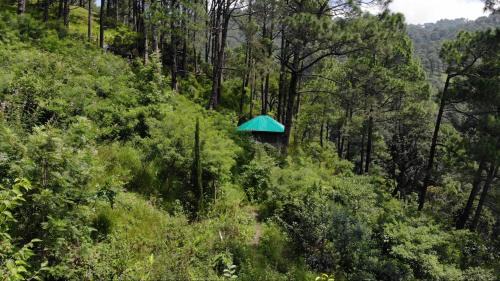 Nainital House | HEAL FARM - Himalayan Eco Alternative Lifestyle For Agriculture Recreation And Meditation