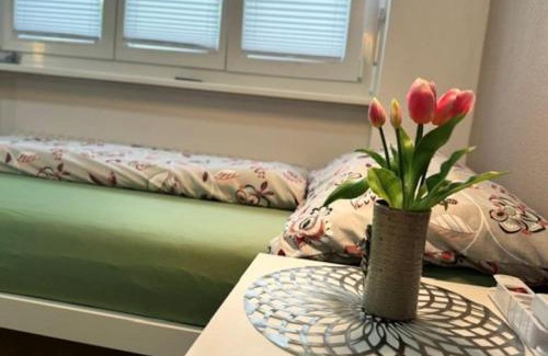 Visp Apartment | HEART Studio Visp Zentrum I ruhig I Single I Paare I Küche