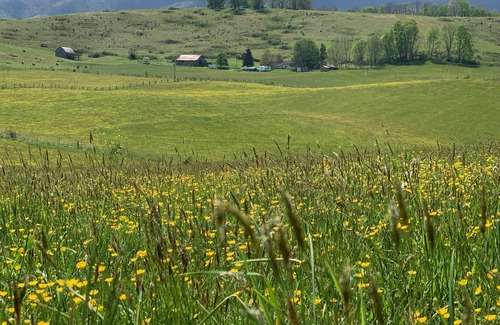 Abingdon House | Heartwood Farm Cottage on the Virginia Creeper Trail and The Holston River