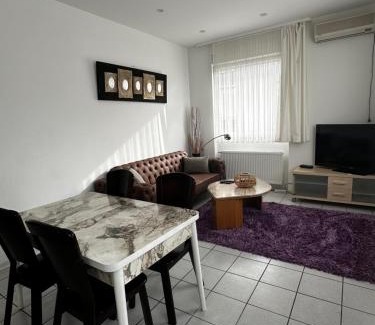Rohrbach Apartment | Heidelberg Apartments