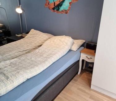 Grunerlokka Apartment | Hele Leiligheten, Grünerløkka