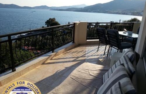 Palaio Tsifliki Apartment | HELLENIC ESTATE SUITES