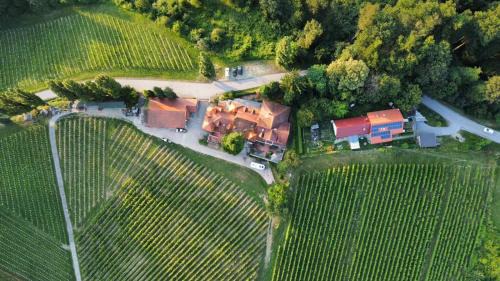 Ormoz House | Herga Wine Estate - Nest above wine cellar - rooms