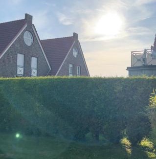 Greetsiel Apartment | Heringsmöwe