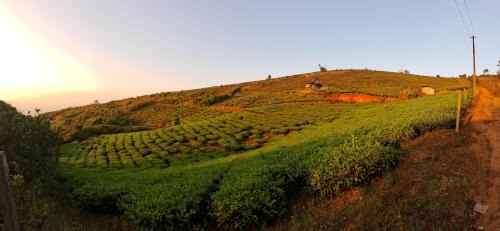 Udumbanchola Resort | Heritage Farms Mountain Eco Retreat