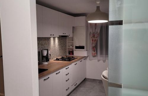 Cluj County Apartment | Hermann Apartment
