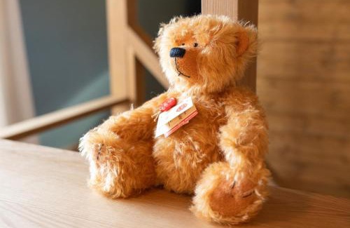 Kitasaku-gun House | HERMANN Teddy Collectors' House - Vacation STAY 28453v