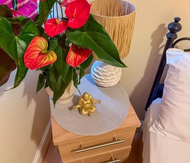 Cork House | Heron Gate Comfort, Park and Pillow