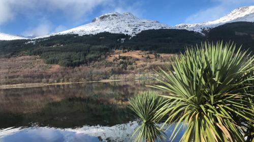 Arrochar House | Heron’s View