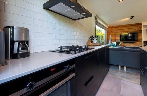 Renesse Villa | Het Ongerepte 59 luxury chalet on quiet spot and near beach