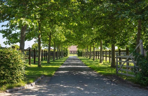Veldegem Bed & Breakfast | Het Spechtennest