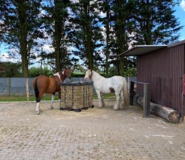 Grijpskerke House | Het Windekind