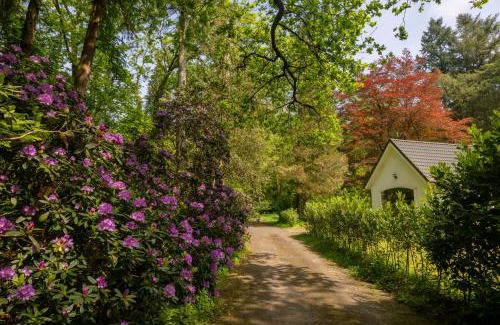 Vierhouten House | Het Witte Boshuis Vierhouten